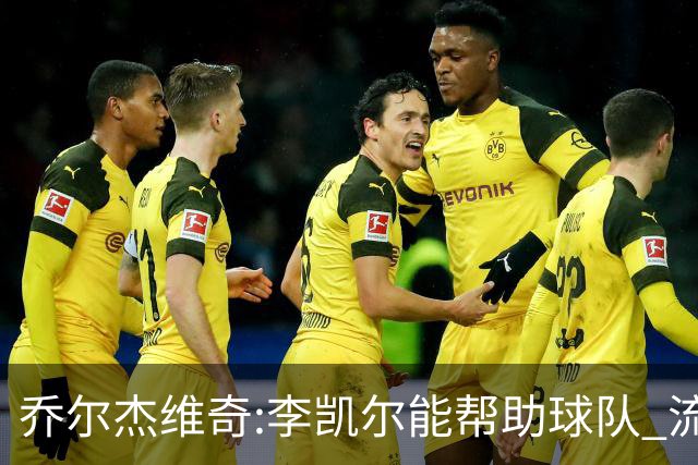 乔尔杰维奇:李凯尔能帮助球队 流程要去问篮协